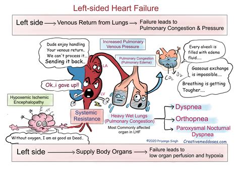 lv heart failure|left sided heart failure complications.